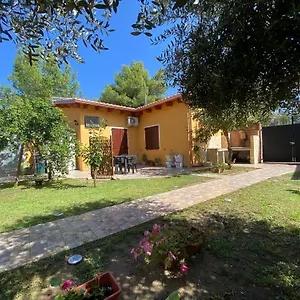 Shardana , Iglesias Italia